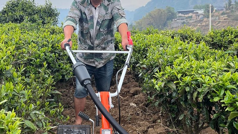 粮食烘干机操作流程：从准备到完成的详细步骤